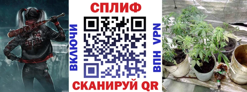 Где найти наркотики Богучар ГАШИШ  МАРИХУАНА  НБОМе  Мефедрон  Псилоцибиновые грибы 