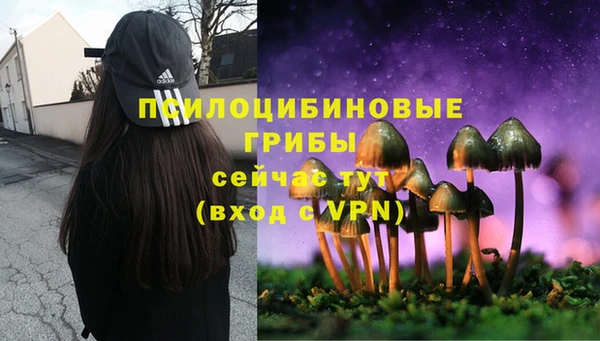 МДПВ Богородск