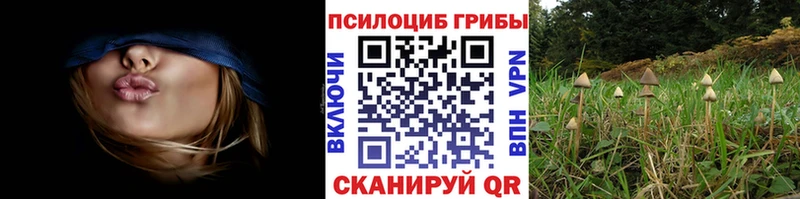 Галлюциногенные грибы GOLDEN TEACHER  Богучар 
